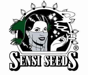 sensi seeds|sensi seeds deutschland.